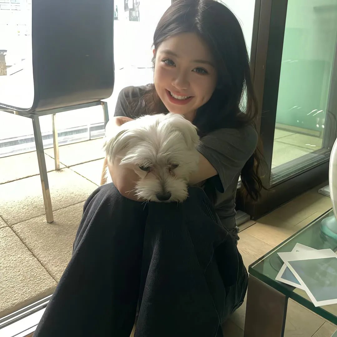樱花春晓 海报